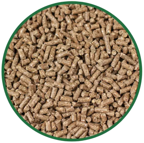 REnP Biomass Pellets